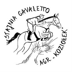 Stajnia Cavaletto- obozy jeździeckie, jazda konna, pensjonat dla koni, Gawłowo godziny otwarcia