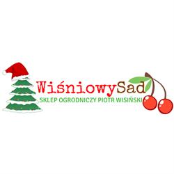 PHU WIŚNIOWY SAD PIOTR WISIŃSKI, Brodnica godziny otwarcia