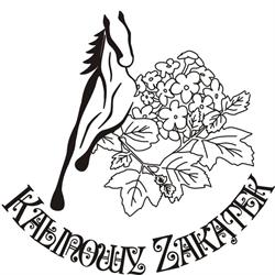 Kalinowy Zakątek, Aleksandrów Kujawski godziny otwarcia