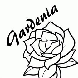 Kwiaciarnia Gardenia u Kuwałków, Kalisz Pomorski godziny otwarcia