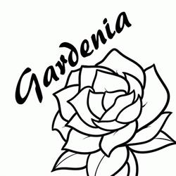 Kwiaciarnia Gardenia u Kuwałków, Kalisz Pomorski godziny otwarcia