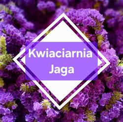 Kwiaciarnia Jaga, Łużna godziny otwarcia