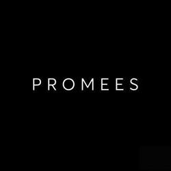 Promees - Sklep z bielizną dla Kobiet, Sety Prezentowe, Chokery, Odzież, Łódź godziny otwarcia
