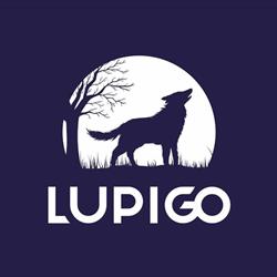 LUPIGO - Agencja Marketingowa Rzeszów, godziny otwarcia