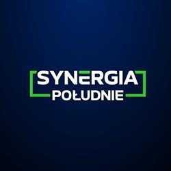 SYNERGIA POŁUDNIE SP Z O O, Katowice godziny otwarcia