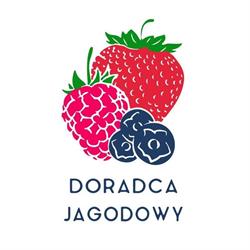 DORADCA JAGODOWY SP Z O O, Motycz godziny otwarcia