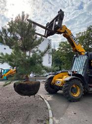 Multigarden, Toruń godziny otwarcia