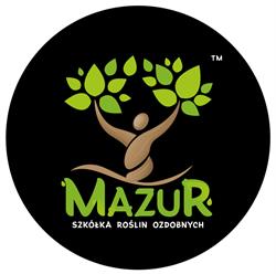 Szkółka Roślin Ozdobnych Mazur Korytowo, Choszczno godziny otwarcia