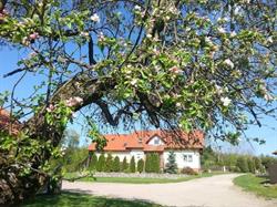 Port Rosocha, Piecki godziny otwarcia