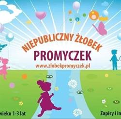Niepubliczny Żłobek "Promyczek", Toruń godziny otwarcia