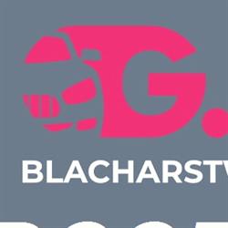 G.MAX Blacharstwo lakiernictwo, Lublin godziny otwarcia