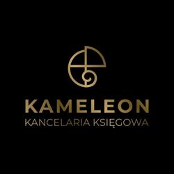 Kancelaria Księgowa Kameleon Bis Sp. z o.o., Dąbrowa Górnicza godziny otwarcia