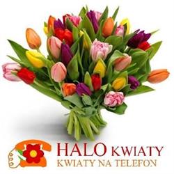 Kwiaciarnia Halokwiaty, Bytom godziny otwarcia