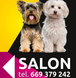 Salon pielęgnacyjny dla zwierząt/Fryzjer/Groomer, Konin godziny otwarcia