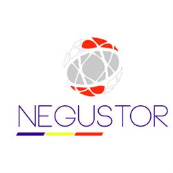 Negustor Anna Finc-Gratkowska, Poznań godziny otwarcia