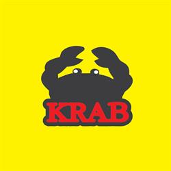 KRAB Z.J.DZIUDA SP.Z O.O. Centrum Techniczne, Nysa godziny otwarcia