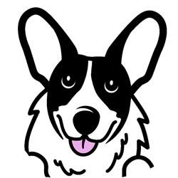 Sklep Zoologiczny PSIA ŁAPA, Wola Rzędzińska godziny otwarcia