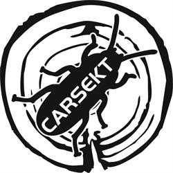 Carsekt. Dezynsekcja, dezynfekcja, deratyzacja. Zwalczanie szkodników, Gostynin godziny otwarcia
