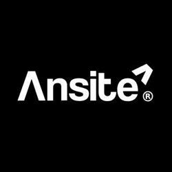 Ansite - Strony Internetowe i SEO Opole, godziny otwarcia