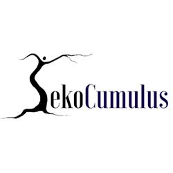 Eko Cumulus, Wrocław godziny otwarcia
