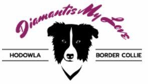 Amigos Positive Dog Training, Września godziny otwarcia