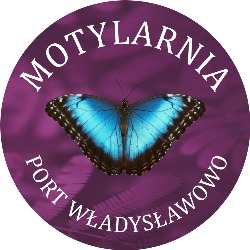 Motylarnia w Porcie Władysławowo, godziny otwarcia
