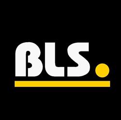 BLS AUTO GALERIA Team Sp. z o.o. Sp k., Biała Podlaska godziny otwarcia