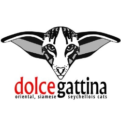 Dolcegattina Cattery, Trójka godziny otwarcia