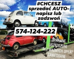 AUTO-HANDEL - BYDGOSZCZ - GLINKI, Bydgoszcz - godziny otwarcia