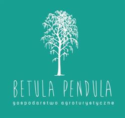 Betula Pendula, Giełzów godziny otwarcia