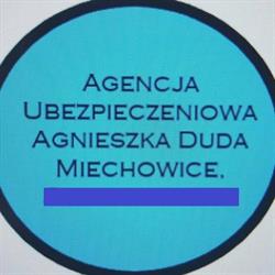 PZU Ubezpieczenia Bytom - Agent Agnieszka Duda, godziny otwarcia
