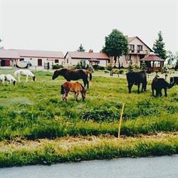 Ostoja Bachus - Gospodarstwo Agroturystyczne, godziny otwarcia