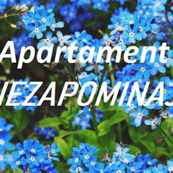 Apartament Niezapominajka, Kosewo godziny otwarcia