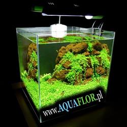 AQUAFLOR, Ruda Śląska godziny otwarcia