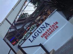 Laguna, Kamionek Wielki godziny otwarcia