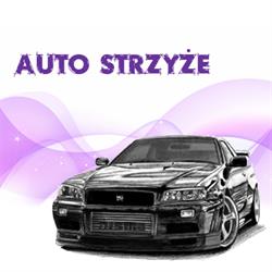 Auto Strzyże - Blacharstwo. Piaskowanie. Konserwacja podwozia. Zbieżność. Wulkanizacja., Budy-Strzyże godziny otwarcia