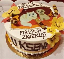 Salon Pielęgnacji Małych Zwierząt "U Kseni" Ksenia Cioska - psi fryzjer, Siemianowice Śląskie godziny otwarcia