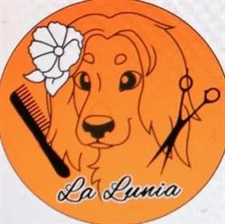 Psi fryzjer Opole - La Lunia Salon Groomerski, godziny otwarcia