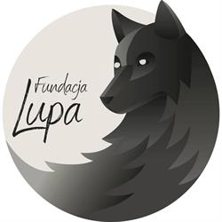 Fundacja Lupa, Lublin godziny otwarcia