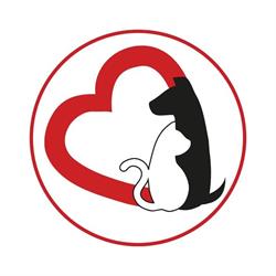 Fundacja tyMMMczasy, Warszawa godziny otwarcia