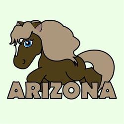 Stajnia Arizona, Jakubowice Konińskie godziny otwarcia