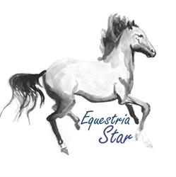 Equestria Star, Gdańsk godziny otwarcia