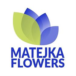 Matejka Flowers, Reńska Wieś godziny otwarcia