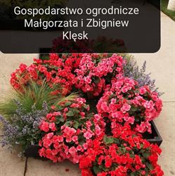 Gospodarstwo ogrodnicze Małgorzata I Zbigniew Klęsk, Rzeszów godziny otwarcia