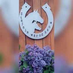 Stajnia wśród bzów, Białki godziny otwarcia