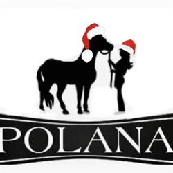 Stajnia Polana, Belno godziny otwarcia
