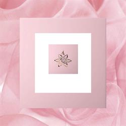 Orchidea Beauty Studio Pięknego Ciała, Kołobrzeg godziny otwarcia