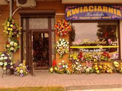 Kwiaciarnia Karolinka, Mława godziny otwarcia