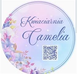 Camelia, Płock godziny otwarcia