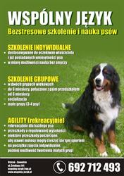 Wspólny język, Ustroń godziny otwarcia
